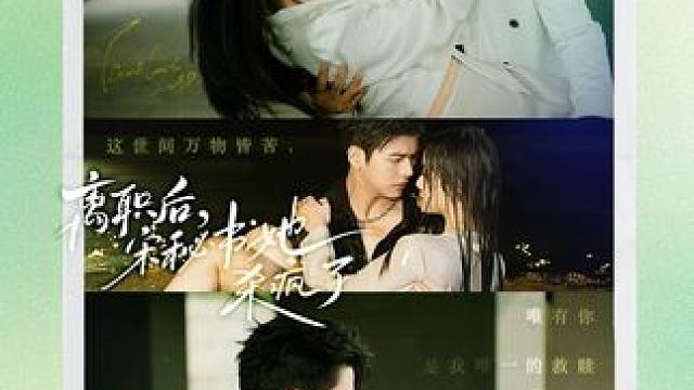 #精彩片段 #因为一个片段看了整部剧 #离职后宋秘书她杀疯了