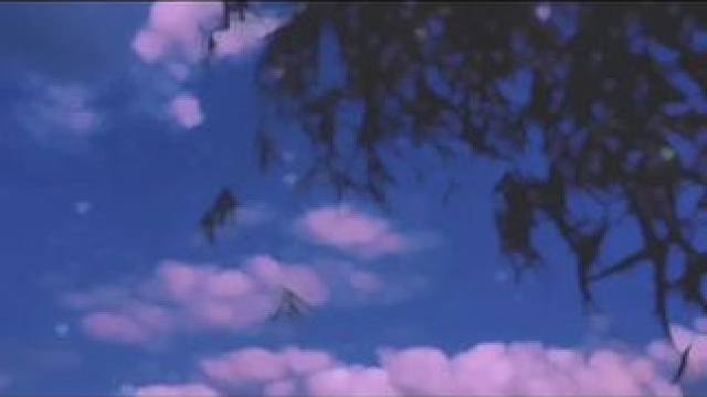 奔赴要值得，放弃要利落#热歌扶持计划 #再也不是小笨蛋