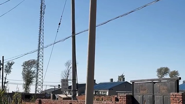 应该说一个字虎？哈哈哈哈哈