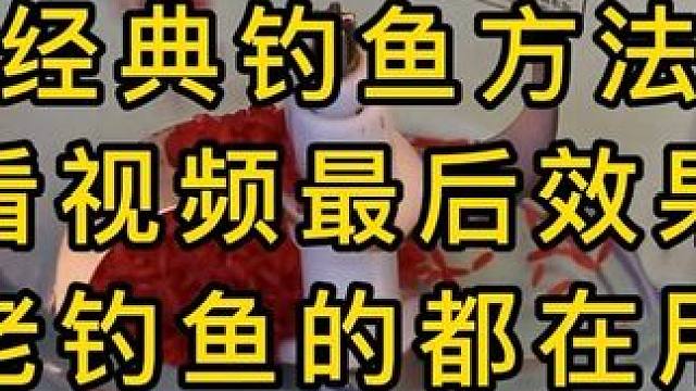 金典钓鱼方法，老钓鱼人都在用 #鱼饵制作 #爆护饵料 #窝料制作 #钓鱼饵料 #钓鱼