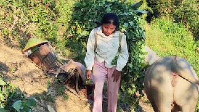 你们是否也像我一样永远都有干不完的活#记录我的乡村生活 #田园生活 #放牛的生活