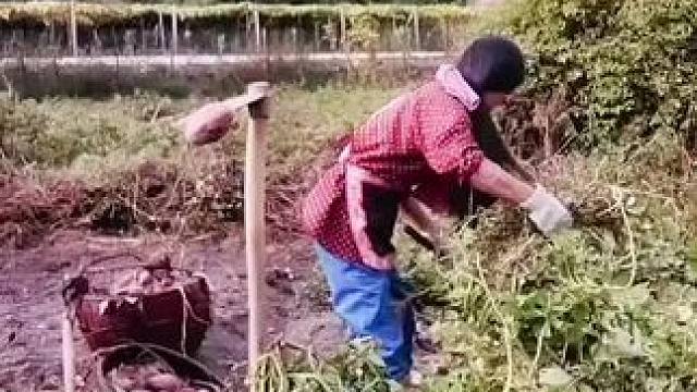 山卡卡里的农村大姐学费了开直播每天收获满满您还在恐播怕播不敢开播开播了不知说什么吗#记录真实生活 #