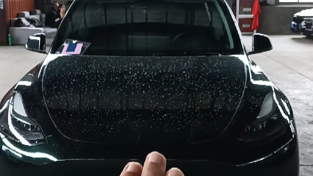 半价车特斯拉毛豆y