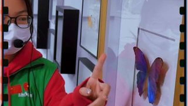 #爬宠 #童年不同样 #神兽假期 #生活vlog