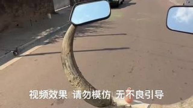 你这车挺像那啥#操作有风险请勿模仿 #机车