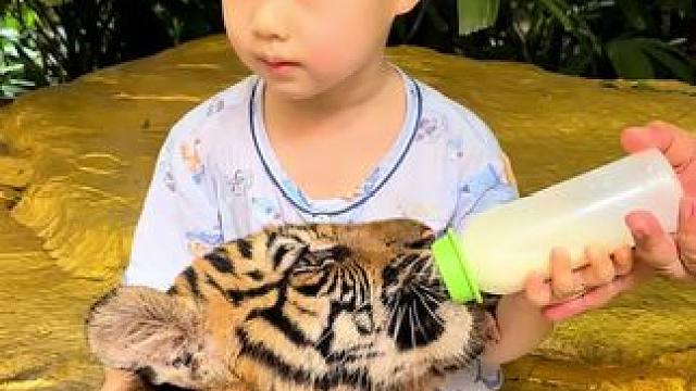 3岁幼崽勇闯野生动物园是什么体验？#人类幼崽 #家庭日常 #萌娃