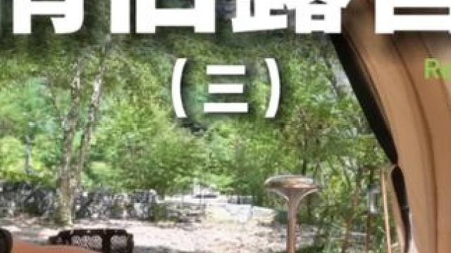 情侣露营（三）#露营 #解压 #助眠 #情侣 #户外露营