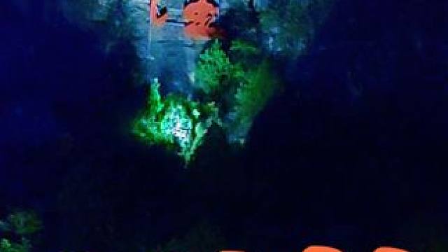 大洼村 #河南刚哥#志刚在路上#大洼村