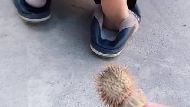 我发布了一个新视频，快来围观吧！