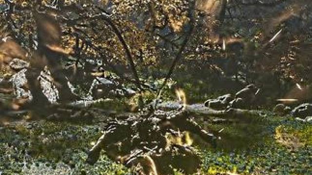 “你这猴子 真令我欢喜！”#steam游戏 #黑神话悟空