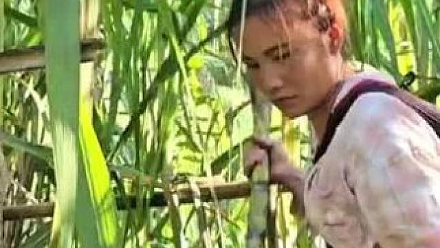 阿萍的生活最新进展#国外生活 #野外生存