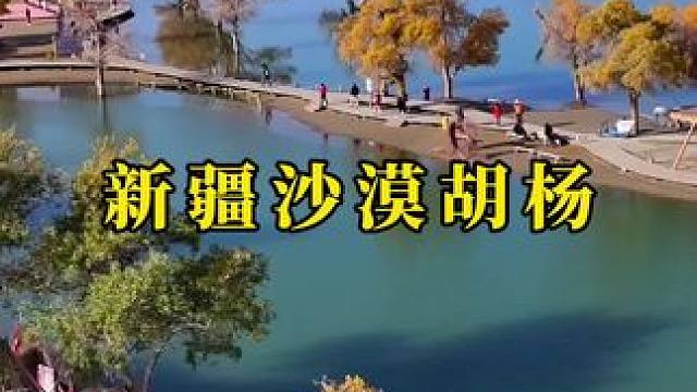 生，千年不死。死，千年不倒。倒，千年不朽。 三千年的守护，只为等你的到来！#旅行 #新疆 #沙漠胡杨