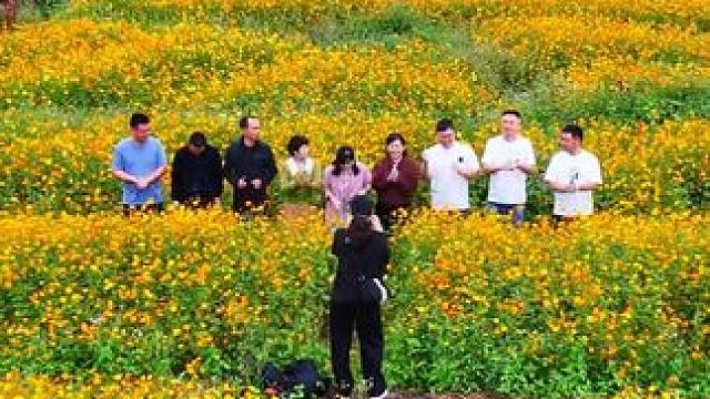 泽雅北林垟田园花海，在这里，你可以忘却尘世的喧嚣与烦恼，尽情享受大自然的宁静与美好。让我们一起走进这