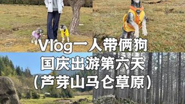 第95集｜养狗人国庆假期带狗出游第六天 #国庆#自驾游#国庆快乐#Vlog#带狗旅行