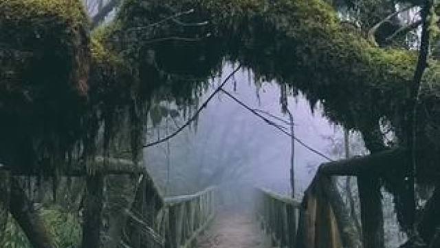 不是哀牢山不敢去龙苍沟天生桥氛围感也可以平替 #哀牢山到底有多凶险 #哀牢山 #龙苍沟森林公园 #龙