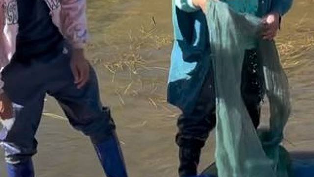 #户外捕鱼 #好多鱼