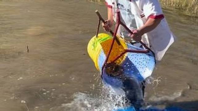 #户外捕鱼 #好大一条鱼