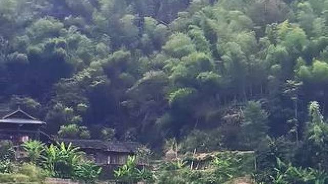 一个隐藏在大山深处的小村庄，几户人家远离城市的喧嚣，过着世外桃源般的生活，令人向往！#隐藏在大山里的