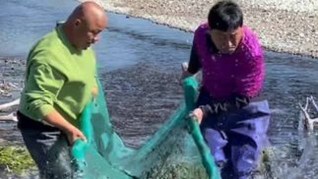 #户外捕鱼 #好多鱼