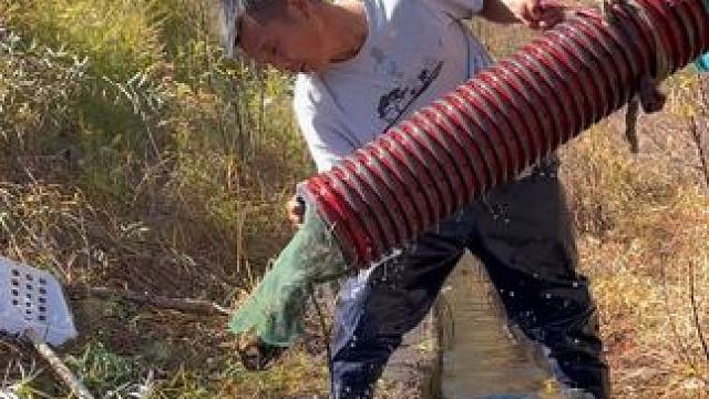 #户外捕鱼 #好多鱼