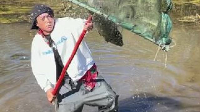 #户外捕鱼 #好大一条鱼