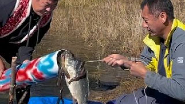 #户外捕鱼 #好多鱼