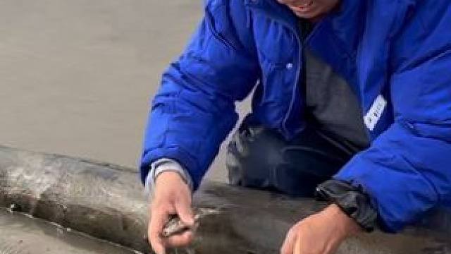 #户外捕鱼 #好多鱼