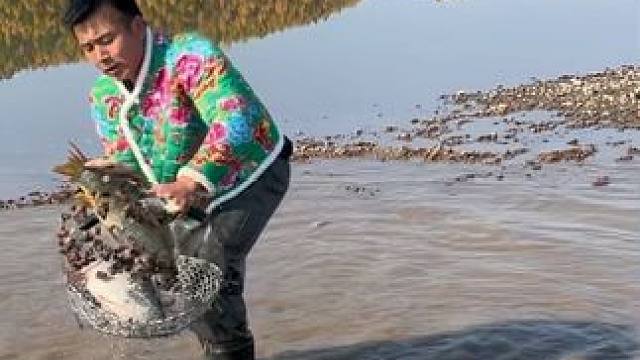 #户外捕鱼 #好多鱼