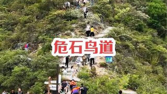 今年国庆上三峡之巅的步道太热闹了#奉节 #危石鸟道 #三峡之巅