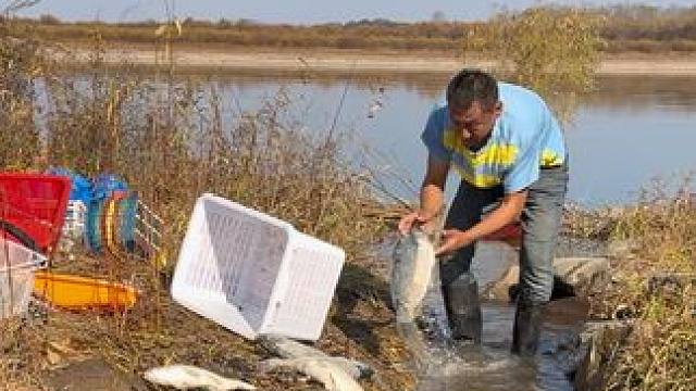 #户外捕鱼 #好大一条鱼