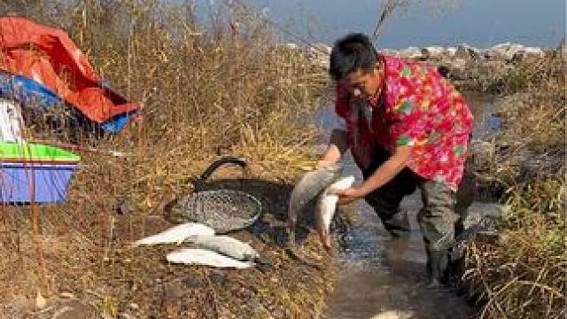 #户外捕鱼 #好多鱼