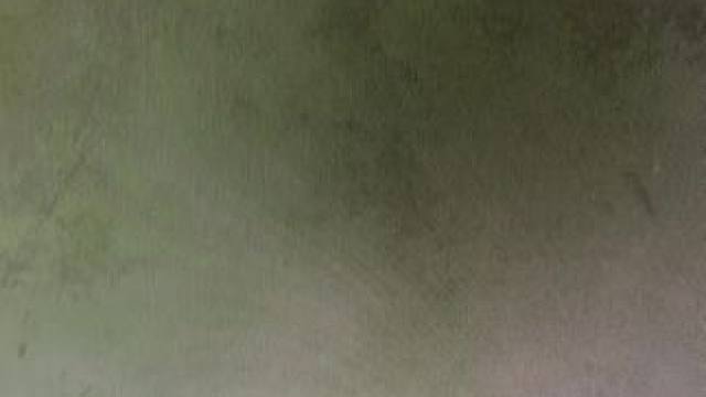 每天挂机，全是金币。