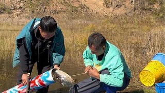 #户外捕鱼 #好多鱼