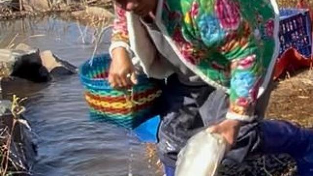 #户外捕鱼 #好大一条鱼