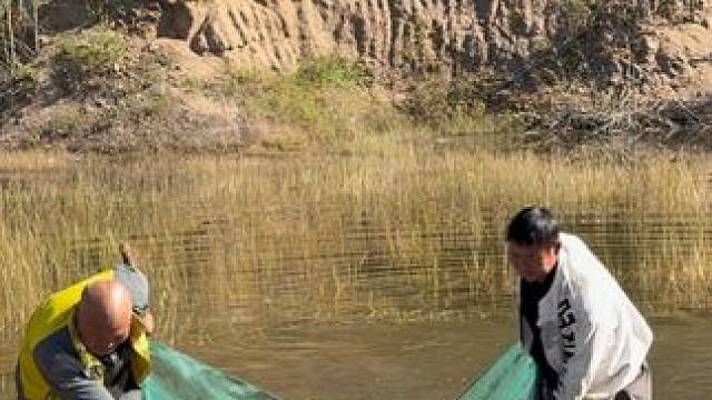 #户外捕鱼 #好多鱼