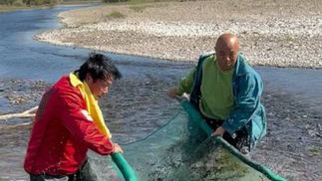 #户外捕鱼 #好多鱼