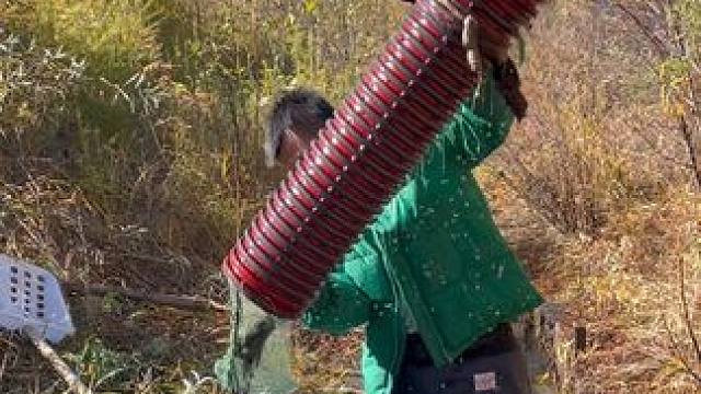 #户外捕鱼 #好多鱼