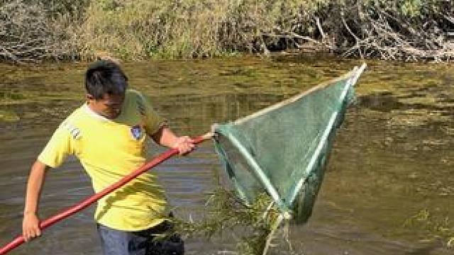 #户外捕鱼 #好大一条鱼