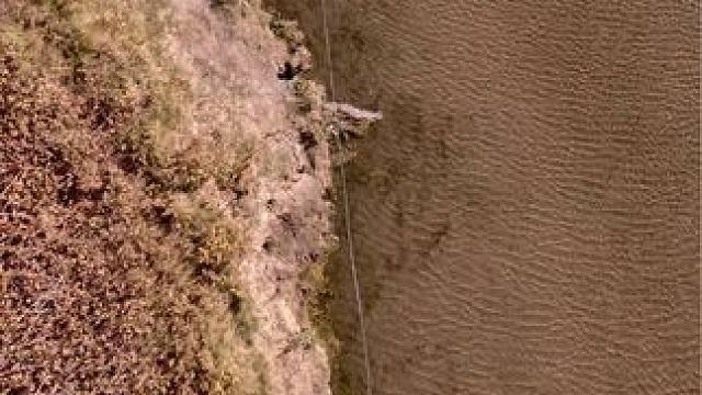 这鱼哪个钓友看了不羡慕~