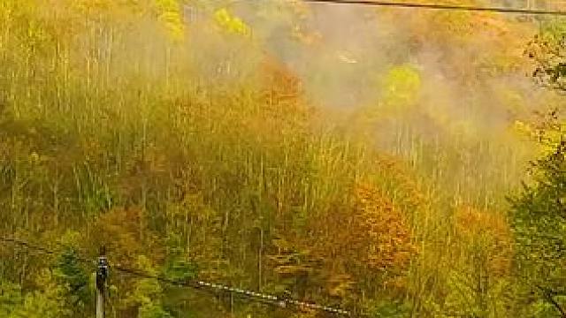 国道209（苏北线）湖北神农架林区段沿途秋色 #最美的风景在路上 #旅行推荐官 #神农架