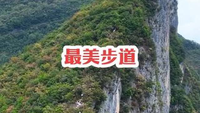 看看这险峻与壮美并存的“中国最美步道”危石鸟道，经此路可到达海拔1388米的三峡最高峰三峡之巅，感受
