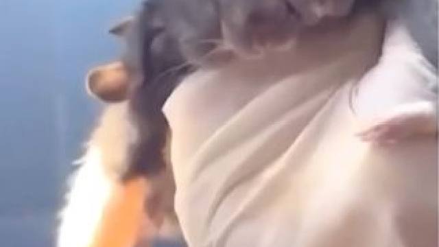 可爱的手套#是时候展现真正的技术了 #秀出你的神技能 #带着瑞幸黄油小熊过十一