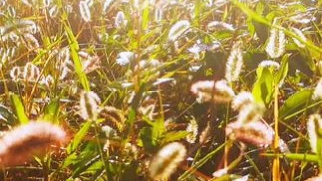 #亲近大自然的一天 ！