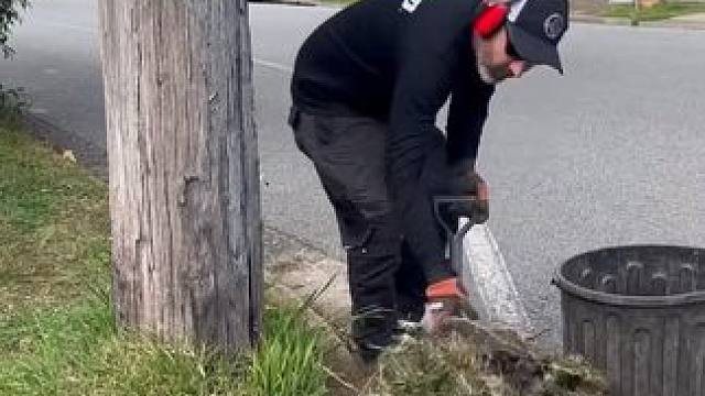 澳洲社区环卫绿化修剪工，薪水天与地的差别。 #解压视频 #极度舒适 #强迫症看了很享受 #超级解压超