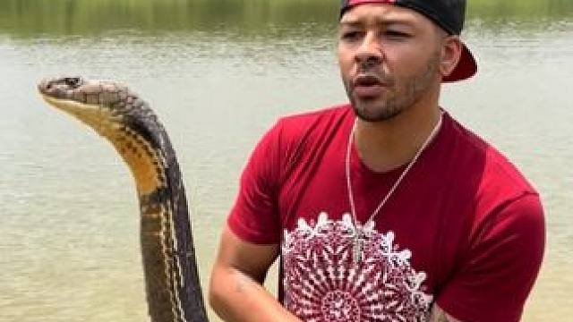 真担心这哥们把自己玩没了 #国外视频分享 #奇妙的动物 #专业操作请