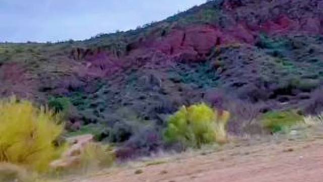 #哈雷戴维森 #身体和灵魂总有一个在路上 #摩旅