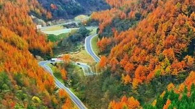 光头山金秋的风景这个月下旬即将再次出现，你准备好了吗？#带你看风景 #赏红叶 #一帧中国·大美广元#