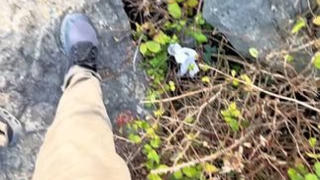 你以为是一支笔，其实是~ #玩个很新的东西  #鱼竿