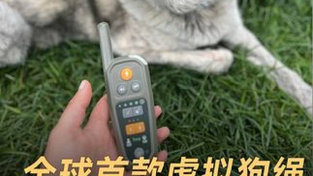 全球首款虚拟狗绳，遛狗不再缠绕 全球首款虚拟狗绳，遛狗不再担心狗绳缠绕#宠物 #狗绳 #前沿科技