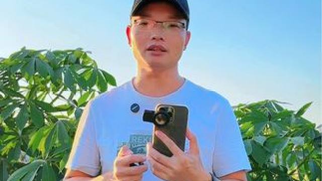 路边见到小花朵，拍出来总是对不上焦又不清晰，教你一招把手机变成单反效果#手机摄影 #微距拍摄 #微距